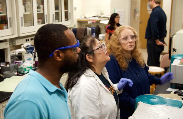 Teachers in lab