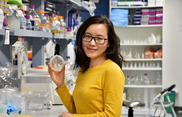 Tingting Xiang works in her lab.